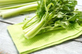 芹菜的病虫害防治