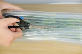 文心兰常见虫害及防治方法