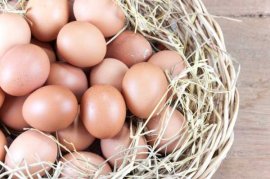 鸡蛋养花的正确使用方法，保你花大色艳，还不