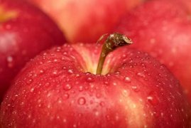 苹果树叶黄斑什么原因