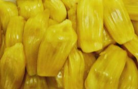 菠萝蜜的营养价值(吃菠萝蜜的7大禁忌)