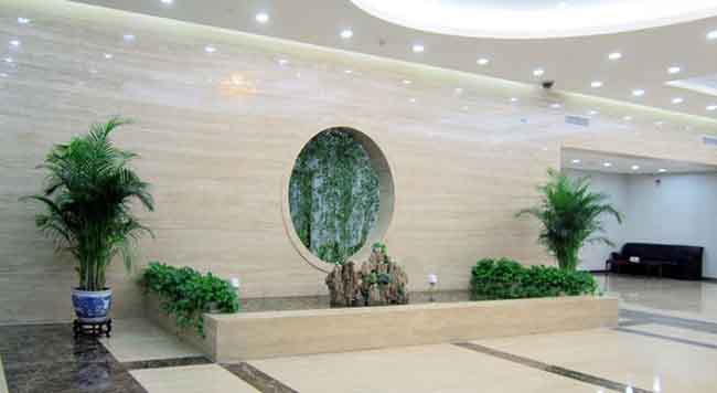 上海办公室植物租赁案例