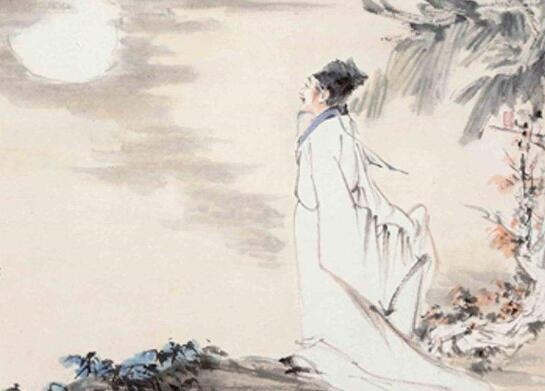 白芷的花语和传说,坚毅/执着和思念之情