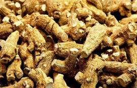 西洋参一斤价格多少钱