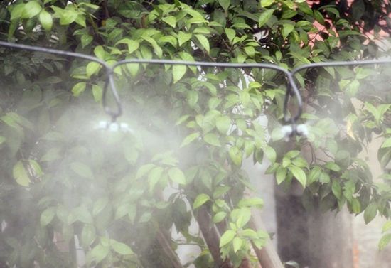 自来水浇花也不错 自来水浇花也不错