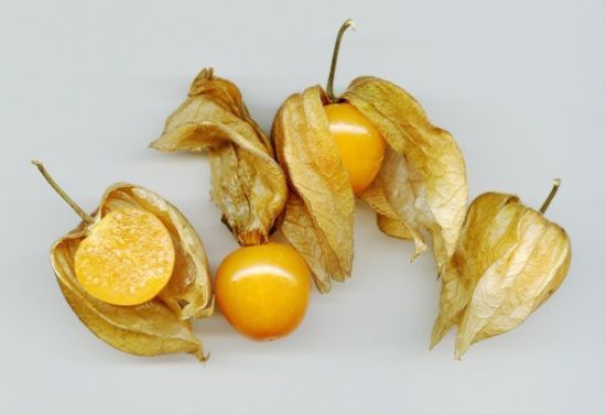 酸浆/姑娘果有什么价值及用途：食用入药观赏均