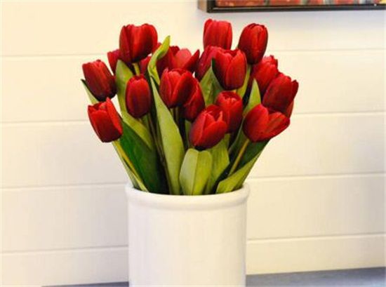 郁金香花谢后怎么处理？5个步骤处理以及注意事