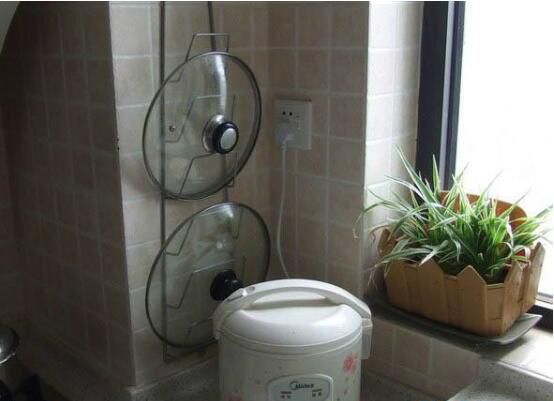 吊兰一盆中适合种几颗,大盆4颗/小盆一颗