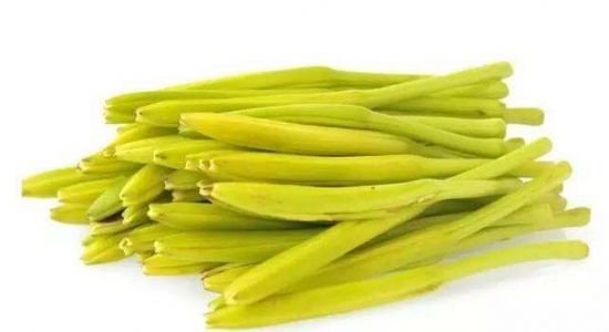 黄花菜的做法 黄花菜的做法