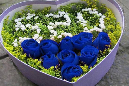 圣诞节送女孩子多少朵花比较好？9朵寓意爱情长