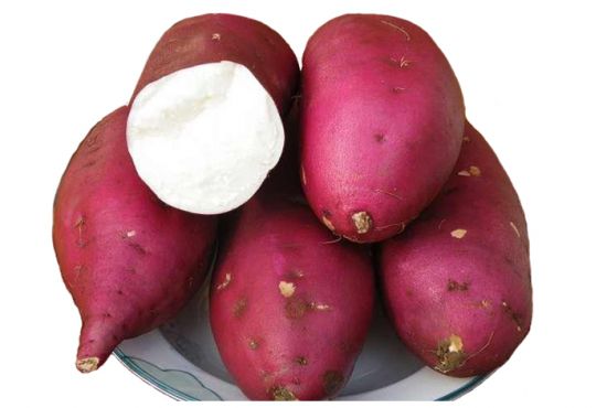 把洗干净的红薯装在盘子 把洗干净的红薯装在盘子