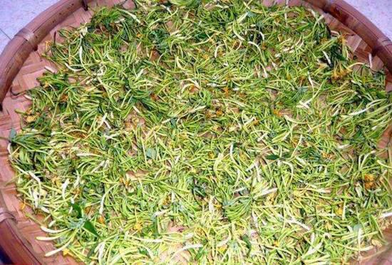 金银花怎样晒干？金银花晒干的4个步骤