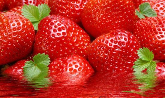 草莓 草莓