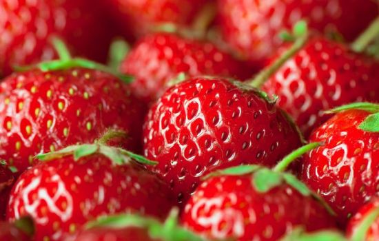 草莓 草莓