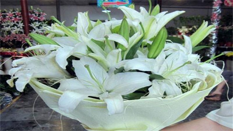 百合花的花语和寓意：神圣的爱、百年好合