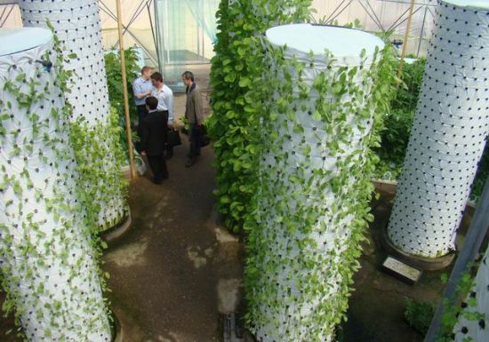 雾培大棚 雾培大棚