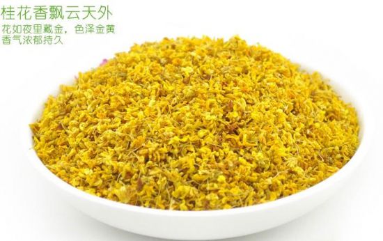 金黄的桂花茶 金黄的桂花茶