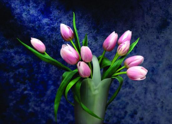 12星座适合养什么花草 12星座适合养什么花草