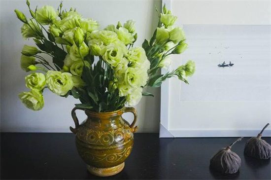 花店买的洋桔梗怎么养，3个方法可让成活率过百