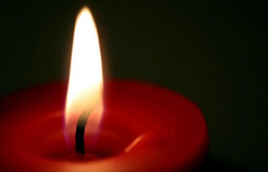 灯心草故事 灯心草故事