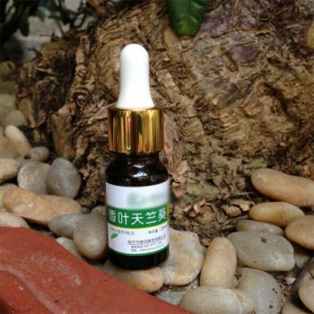 香叶天竺葵精油 香叶天竺葵精油