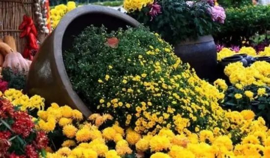 是谁,打翻了这里的春天。 是谁,打翻了这里的春天。