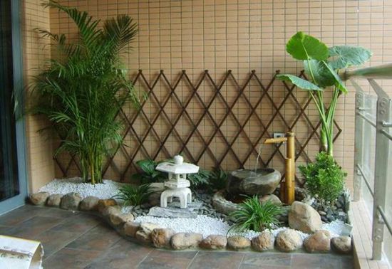 旺宅植物 旺宅植物