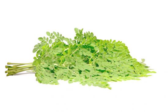 辣木的功效和作用：全身是宝