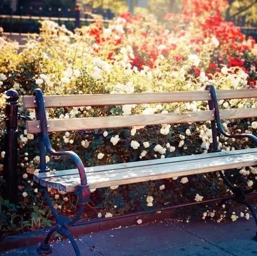 是谁,打翻了这里的春天。 是谁,打翻了这里的春天。