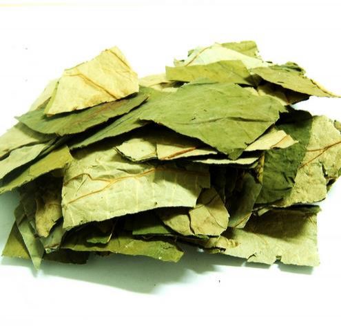 荷叶茶的干叶 荷叶茶的干叶