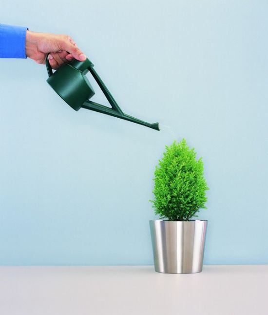 淘米水浇花注意事项 淘米水浇花注意事项