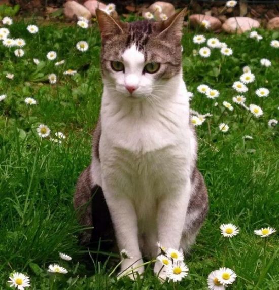 是谁,打翻了这里的春天。 是谁,打翻了这里的春天。