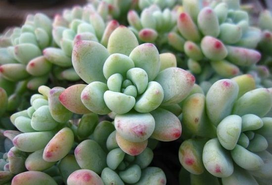 10月份的劳尔2号 10月份的劳尔2号