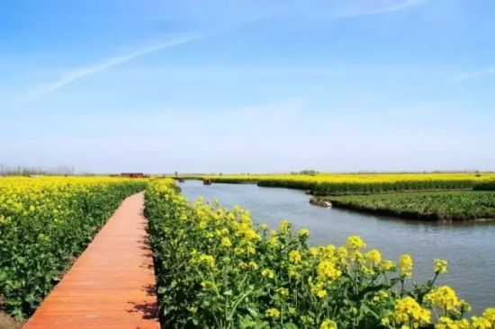 是谁,打翻了这里的春天。 是谁,打翻了这里的春天。