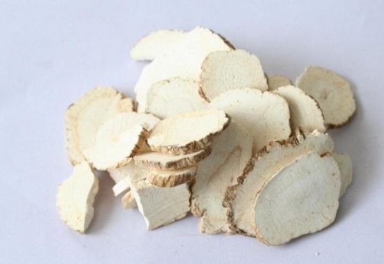 白芷中药片 白芷中药片