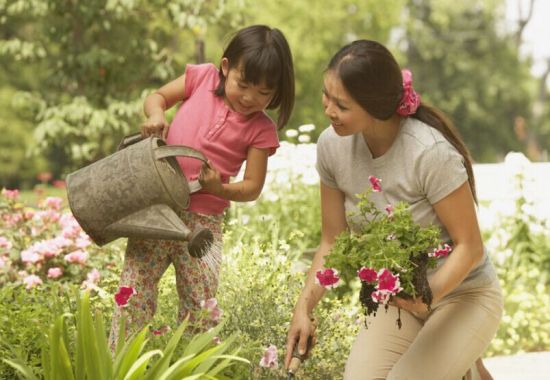 母女一起浇花 母女一起浇花