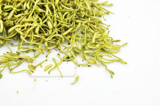 金银花的功效与禁忌 金银花的功效与禁忌