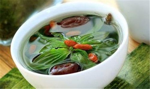 枸杞大枣车前草 枸杞大枣车前草