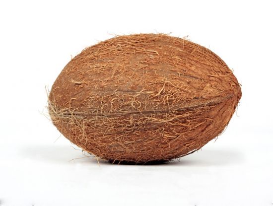 近拍椰子图片 近拍椰子图片