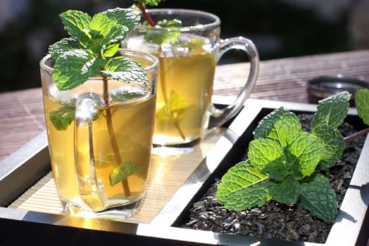 薄荷茶 薄荷茶