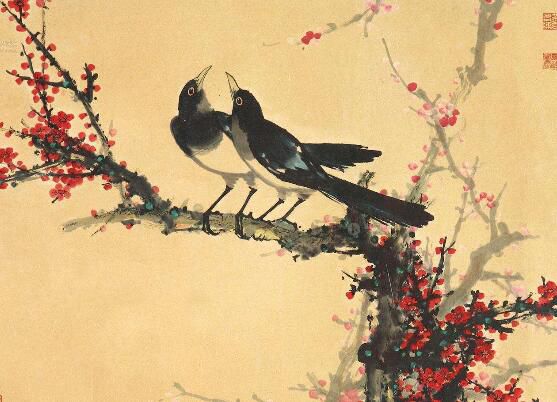 家里养梅风水不吉利,3个方面告诉梅花不能家里的原因