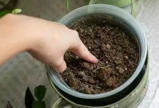 见干见湿原则 见干见湿原则