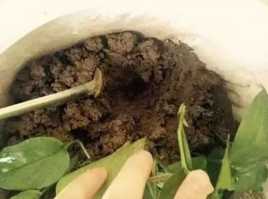 施肥要注意什么问题 施肥要注意什么问题