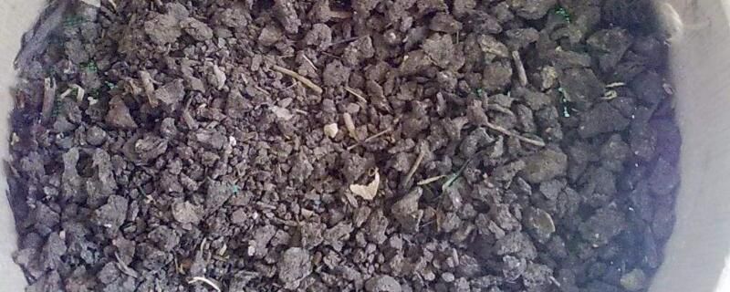 如何自制多肉土？自制腐质土养殖多肉