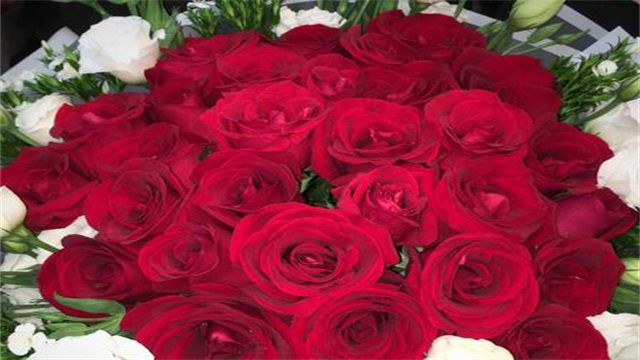 不同颜色的21朵玫瑰花花语
