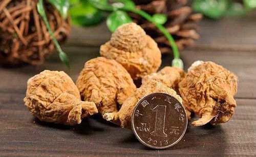 “植物伟哥”玛咖所谓“提高性功能”的说法缺乏依据 “植物伟哥”玛咖所谓“提高性功能”的说法缺乏依据