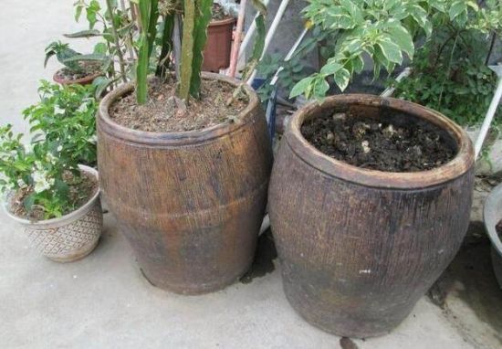 自制磷肥 自制磷肥