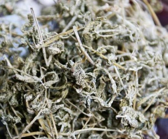 溪黄草的介绍 溪黄草的介绍