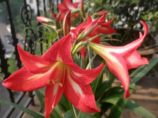 放置环境 放置环境