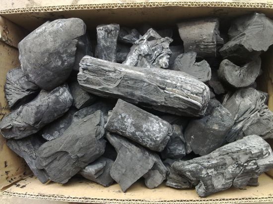 花盆底部垫木炭 花盆底部垫木炭